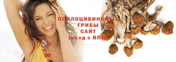 Альфа ПВП Козельск