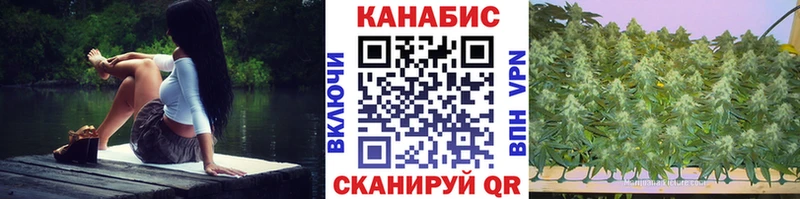 Купить закладки  Бахчисарай  Шишки марихуана планчик 